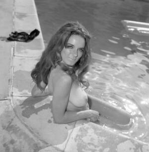 60s Porn Stars Tumbler - pornstar | Vintage Charming Beauties