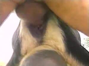 Hot Goat Porn - hot-goats-horny-fuckers