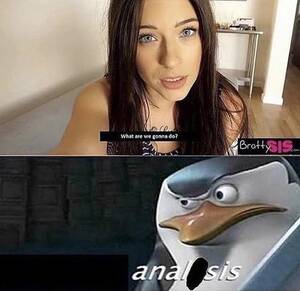anal porn memes - Anal is the best : r/memes