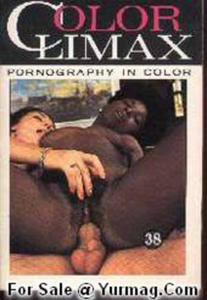 Color Climax Hardcore Porn - COLOR CLIMAX Hardcore Magazine 38 - Black Girl Fucked