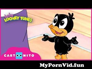 Baby Looney Tunes Porn - Baby Looney Tunes | Bad Words | Cartoonito UK from baby loony tunes cartoon  sex Watch Video - MyPornVid.fun