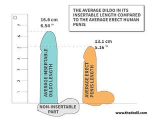 Average Pornstar Penis Size - Dildo-Envy? The Average Dildo Size Compared To The Average Penis | by The  Dodil | Medium