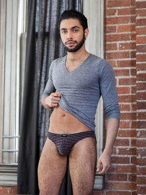 Hottest Persian Porn Star - Gay Porn Star Diego Sans fucks hot Persian Shawn Abir