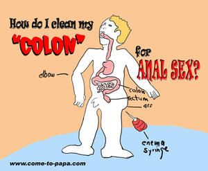 Anal Sex Diagram - [WARNING-EXPLICIT] How Do I Clean My \