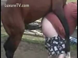 fat pony sex - Fat man sodomized by a big horse - LuxureTV
