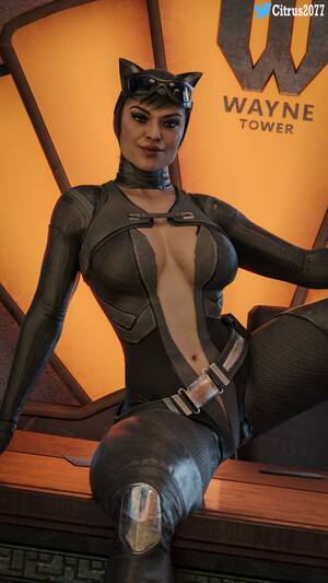 Injustice Catwoman Porn 3d - 42334e84.jpg