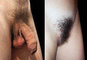 japanese shaved public - Pubic hair - Wikipedia
