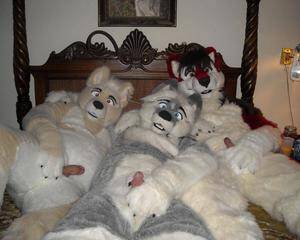 furry sex orgy - furry orgy | MOTHERLESS.COM â„¢