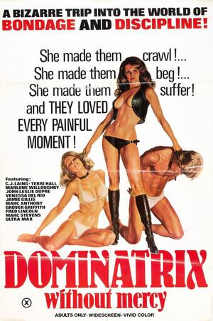 1979 porn movie covers - Sex on Display: The Golden Age of Adult Film Posters â€“ PRINT Magazine