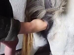 Equine Pony Mare Pussy - Female pony is happy with man playing with her pussy - Zoo Xvideos