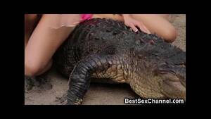 Alligator Porn - WTF Hot Babes Riding Alligators! - XVIDEOS.COM