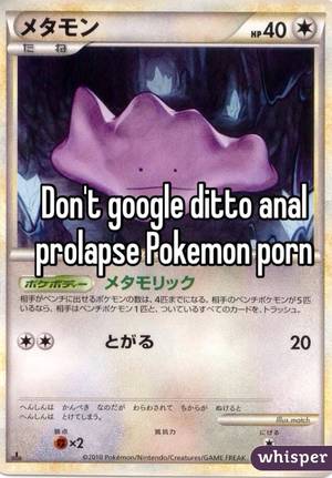 anal prolapse - Don't google ditto anal prolapse Pokemon porn