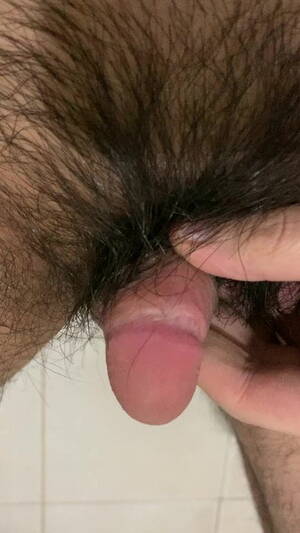 asian pubic hair sex - When my pubic hair longer than my small asian penis | xHamster