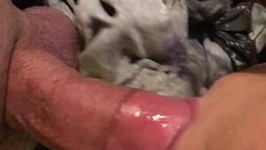 Friends Younger Sister Porn - Friends younger sister swallows huge cock after party! - Free Porn Videos -  YouPorn