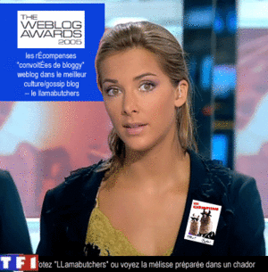 Melissa Theuriau Porn Captions - The LLama Butchers: December 2005 Archives