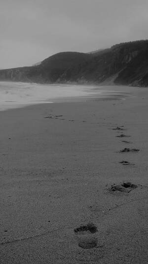black sea beach nude - mw84-naked-walk-sea-beach-nature-pure-dark-bw-wallpaper