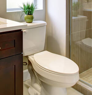 Bidet Toddler Porn - Choosing a new toilet is your own 'Game of Thrones'