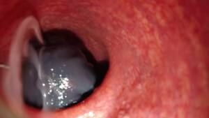 internal anal camera - Internal Camera Bad Dragon Flint Cumming in my Ass - Pornhub.com