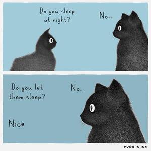 Barely Legal Anal Daddy Captions - Cat logic : r/funny