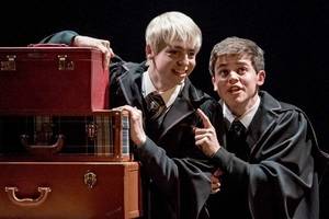 Harrypotter Gay Porn - ... of a hazehim.com or fraternityx.com porn. Yes, Harry Potter's son Albus  Severus and Draco Malfoy's son Scorpius, not only set out on adventures  together ...