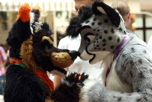Arizona Furry Porn - Two furries greet each other at the Eurofurence 2014 conference on Aug. 22,  in