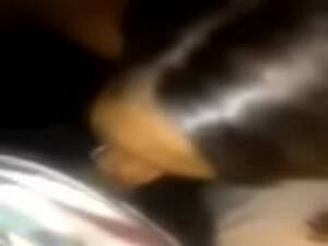 asian vagina finder - The Vagina Finder Is Back St.louis Edition - xxx Mobile Porno Videos &  Movies - iPornTV.Net