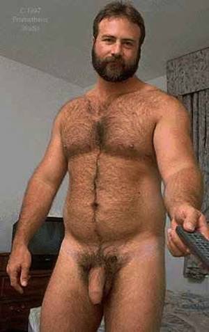 Bear Bear Porn - ... gay bears porn