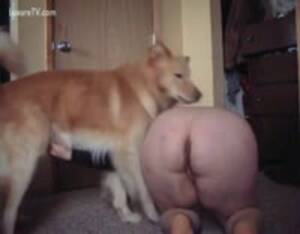 nasty fat ass - Ugly fat ass - Extreme Porn Video - LuxureTV