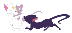 Cat Sailor Moon Porn - Sailor Moon Luna (75 photos) - porn ddeva