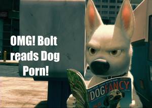 cartoon bolt porn - Disney's Bolt Funny Pictures images Dog Porn HD wallpaper and background  photos
