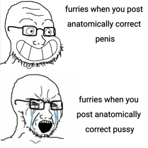 Anatomically Correct Furry Lion Pussy - hypocrisy_irl : r/furry_irl