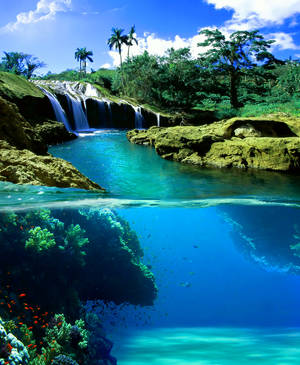 Hawaii Natural Porn - Waterfall, Jamaica courtesy of earth porn via fb