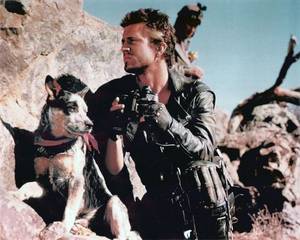 Mad Max Porn Breeders - After Mad Max 2 (The Road Warrior), Dog went to live with Max Aspen the  stuntâ€¦