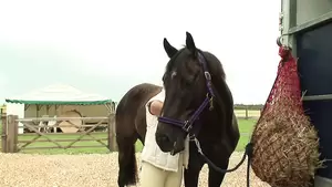 black mare fuck - Footjob and some Titty Fuck in Horse trailer | xHamster