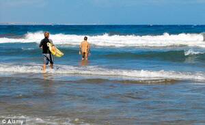 naturist beach san diego - San Diego beach shedding nude sunbathing designation | Daily Mail Online