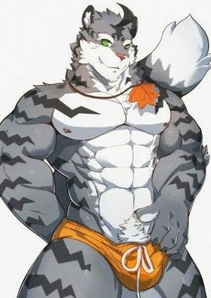 Furry Muscle Porn - Yiff Furry, Furry Art, Muscle, Photos, Drawing Ideas, Tigers, Porn, Gay,  Animals