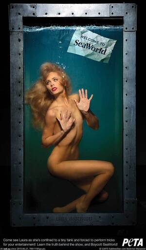 Laura Vandervoort Naked - Pic. #Nude #Laura, 81036B â€“ Hotxxx