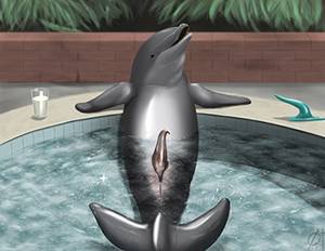 Fucking Dolphin Porn - He wasn't sure what he was supposed to be looking at at first, and then it  became obvious as Patrick's cock slowly extended from a slit in his belly  back ...