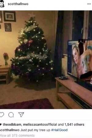 Christmas Sex Memes Porn - WWE legend Scott Hall posts picture of Christmas tree onlineâ€¦ and forgets  to turn off the PORN on his TV - Mirror Online