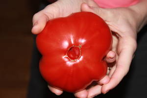 cam inside - Cam inside anus