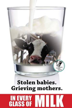 Caption Milk Theft - Not your milk. Be vegan. Stop stealing what isn'