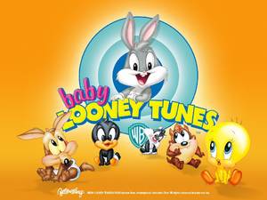 Baby Looney Tunes Porn - Baby Looney Tunes Wallpaper HD Wallpaper