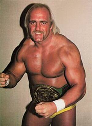 Hulk Hogan - Hulk Hogan - Wikipedia