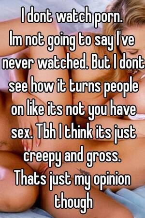 Its Not Porn - I dont watch porn. Im not going to say I've never watched. But I dont see  how it turns people on like its not you have sex. Tbh I think its just