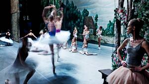 Czech Sleep Porn - Danse Macabre | The New Yorker