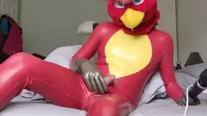 Bird Gay Porn - the bird Gay Porn - Popular Videos - Gay Bingo