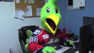 hockey cartoon porn - [VIDEO] Hockey mascot searching for bird porn
