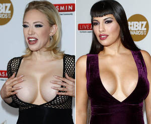Award Winning Female Porn Stars - All the boobs at the XBIZ Awards 2016