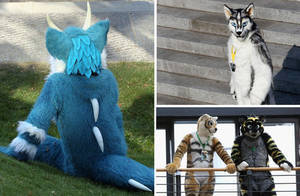 Furry Sex Costume Porn - Furries at Europe's biggest furry conference in 2015