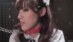 asian maid leash - Asian Maid On A Leash Services Cock With Her Hot Mouth : XXXBunker.com Porn  Tube